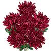 Hollyone Fiori di crisantemo artificiali grandi da 15,2 cm, con stelo lungo 65,6 cm, 6 pezzi di fiori rossi in finta seta, crisantemi ragno finti per decorazioni per la casa, da sposa, matrimoni, feste