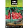Semillas Batlle FRAGOLA DI LEGNO