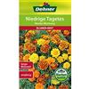 Dehner - Sementi per Fiori Bonita Mischung, Confezione da 5 (5 x 1,3 g)