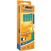 BIC EVOLUTION Bic 244379 Matita a Graphite, Confezione da 12 pezzi
