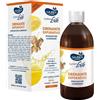 ITALSILVA COMMERCIALE Srl Sauber Drenante Depurativo Zenzero e Limone 500 ml - Integratore Alimentare