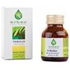 ERBEX TRIBULUS 100CAPSULE - ERBEX - 906084963