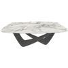 BONTEMPI tavolo fisso a botte con struttura antracite BACH 53.75 200x116 cm - 53.75-M310-CM003