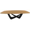 BONTEMPI tavolo fisso a botte con struttura nero opaco BACH 53.76 250x120 cm - 53.76-M055-L009