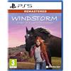 Mindscape WINDSTORM: START OF A GREAT FRIENDSHIP REMASTERED