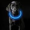 Coolzon Collare Luminoso per Cani USB Ricaricabile Impermeabile con 3 Modalità Di Luce, Regolabile Collare LED per Cani Gatti Taglia Piccola Media Grande, Blu