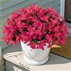 SOMYTING 4 pacchetti di fiori artificiali di bouganville, fiori finti resistenti ai raggi UV, fiori di seta dal tocco realistico, mazzo di bouganville sintetiche, per interni ed esterni, giardino