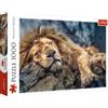 Trefl, Puzzle, Leone addormentato, 1000 Elementi, vista di un leone su una roccia, il re leone, Africa, animali, mammiferi, giungla, puzzle fai da te, intrattenimento creativo, regalo, divertimento