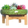 ARTKETTY Vasi per piante grasse, vasi per piante di cactus di grandi dimensioni con drenaggio, vaso bonsai in ceramica per interni per il giardino e la casa