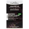 ZETA FARMACEUTICI SPA Euphidra Colorpro Xd 355 Castano Scuro Ciliegia Gel Colorante Capelli In Flacone + Attivante + Balsamo + Guanti
