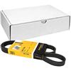 Contitech 5 PK 1100 Cinghie Trapezoidale