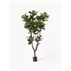 botané Pianta artificiale Fiddle Leaf Fig