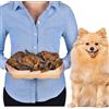 Lovely DOG Orecchie di cinghiale per cani, 10 pezzi, naturali, ipoallergeniche
