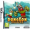 Focus Home Interactive Dungeons Raiders [Edizione: Francia]
