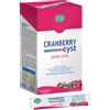 ESI Srl Cranberry Cyst Pocket Drink Esi 16 Pocket Drink