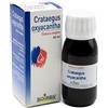 BOIRON Srl Crataegus Oxyacantha TM Boiron 60ml