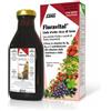 SALUS HAUS Gmbh & Co KG Salus Floradix Floravital 250ml