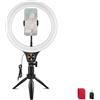 NEEWER ENTRY LEVEL VERSION 10,5 Desk Ring Light con Treppiede/Porta Telefono Compatibile con iPhone, Timer/Telecomando, Luce Foto LED 10W CRI85+ per Selfie Trucco Stream Riprese Video Conferenza, N25