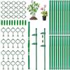 JRTYMLU Supporto per Piante,Sostegno per Piante Professionale con 40 Moschettoni e 10 Tubi Estensibili,Regolabile per Pomodori, Rose e Piante Rampicanti Resistente e Riutilizzabile(70 PCS)