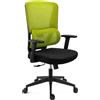 Sedia Ergonomica SUPRA, Confortevole, Supporto Lombare, Rete Traspirante e Tessuto, Verde