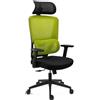 Sedia Ergonomica SUPRA, Confortevole, Poggiatesta, Supporto Lombare, Rete Traspirante e Tessuto, Verde