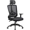 Sedia Ergonomica NEMO, Sostegno Lombare Regolabile, In Rete Traspirante, Nero