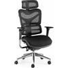 RICONDIZIONATO Sedia Ergonomica PROWORK, Personalizzabile, Certificata, in Rete e Tessuto, Nero