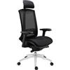 Ricondizionato - Sedia Ergonomica RAPTOR, Completamente regolabile, Alta qualità, Nero