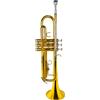 Amadeus Tromba Sib Amadeus TR600 Laccata con Custodia