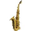 Amadeus Sassofono Soprano Curvo Amadeus SSC690 Sib Laccato con Custodia