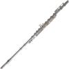 Roy Benson Flauto Traverso Roy Benson FL‑402E - Testata Nickel‑Silver, Chiave Offset G