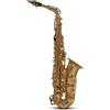 Roy Benson Sassofono Alto Mi♭ Roy Benson AS‑202 - Corpo in Ottone