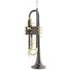 Roy Benson Tromba in Sib Roy Benson TR‑101K Black
