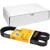 Contitech 6 PK 1110 Cinghie Trapezoidale