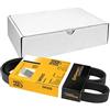 Contitech 5 PK 925 Cinghie Trapezoidale