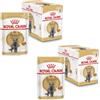 Royal Canin British Shorthair | Confezione Doppia | 2 x 12 x 85 g | Alimento umido per gatti adulti British Shorthair | Adatto a partire dai 12 mesi di età | Piccoli pezzi in salsa