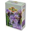 UGHETTO FACELIA (Phacelia Tanacetifolia) Seme certificato grammi 500 | Mellifere da semina