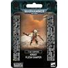 Warhammer - Kroot Flesh Shaper: T'au Empire Miniature Wargame Model Set, Età 16+