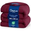 CozyLux Piumone Una Piazza e Mezza 200x200 cm per 4 Stagioni, Piumone Letto in Microfibra 300 g/m², Trapunta Invernale 200 x 200, Morbido, Caldo e Traspirante, Lavabile in Lavatrice, 200x200, Borgogna