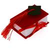 Publilancio srl 12 PZ Libro rosso Laurea portaconfetti con tocco BOMBONIERA