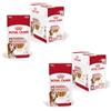 Royal Canin Medium Ageing 10+ | Confezione Doppia | 2 x 10 x 140 g | Alimento umido per cani di taglia media (da 11 a 25 kg) | A partire dai 10 anni di età | Per favorire un invecchiamento sano