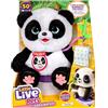 Little Live Pets My Baby Panda ChuChu | Panda interattivo con Oltre 50 Suoni e reazioni; si muove le zampe, Fatto e ride; Contiene un barattolo; ricomincia all'infinito (30 cm)