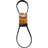 Contitech 6 PK 1125 Cinghie Trapezoidale