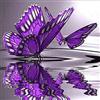 OWN4B - Kit per punto croce su tela stampata con farfalle viola, 11 ct, 36 x 36 cm, kit per ricamo fai da te (farfalla)