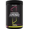 Rule One Energized Amino 270 grams - Pineapple Passion Fruit