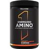 Rule One Energized Amino 270 grams - Orange Clementine