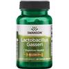 Swanson Lactobacillus Gasseri 60 vcaps -