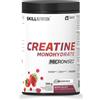 Skill Nutrition Micronised Creatine Monohydrate 500 gr - Berry Blast