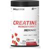 Skill Nutrition Micronised Creatine Monohydrate 500 gr - Watermelon