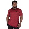 Gorilla Wear Roy T-shirt - 4XL
